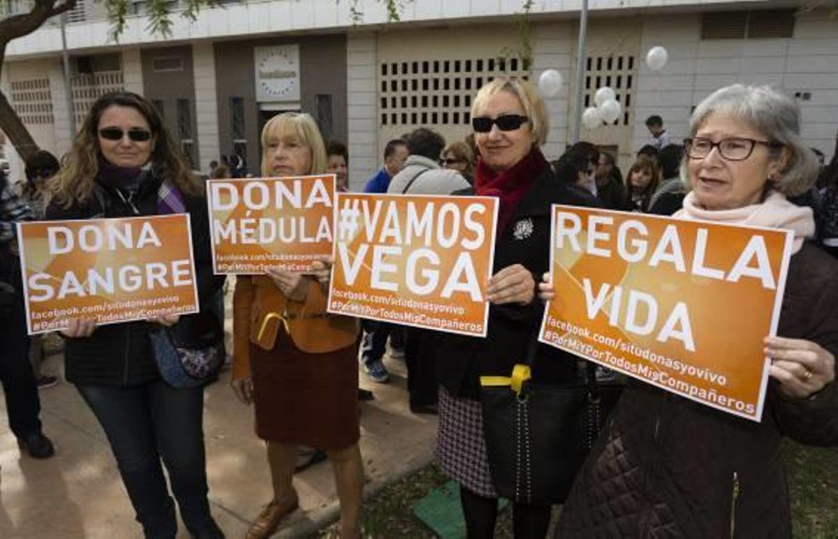 Castelló anima a donar médula
