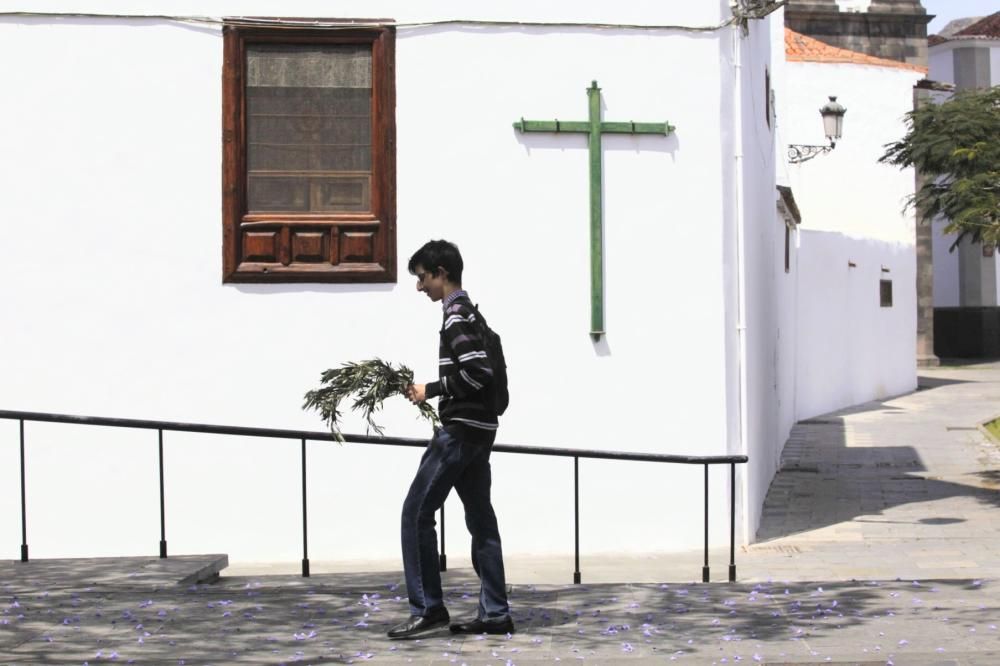 Domingo de Ramos , Semana Santa , Concepción de Santa Cruz y Candelaria  | 05/04/2020 | Fotógrafo: Delia Padrón