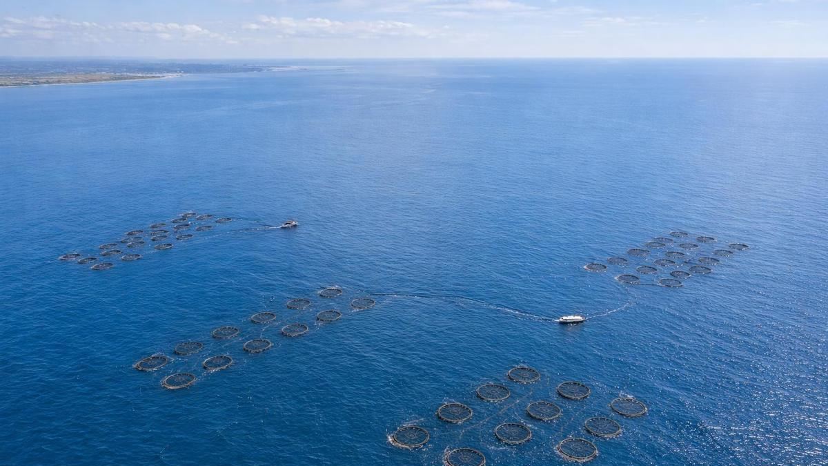 Las nuevas plataformas de observación integradas en SIRENA 2