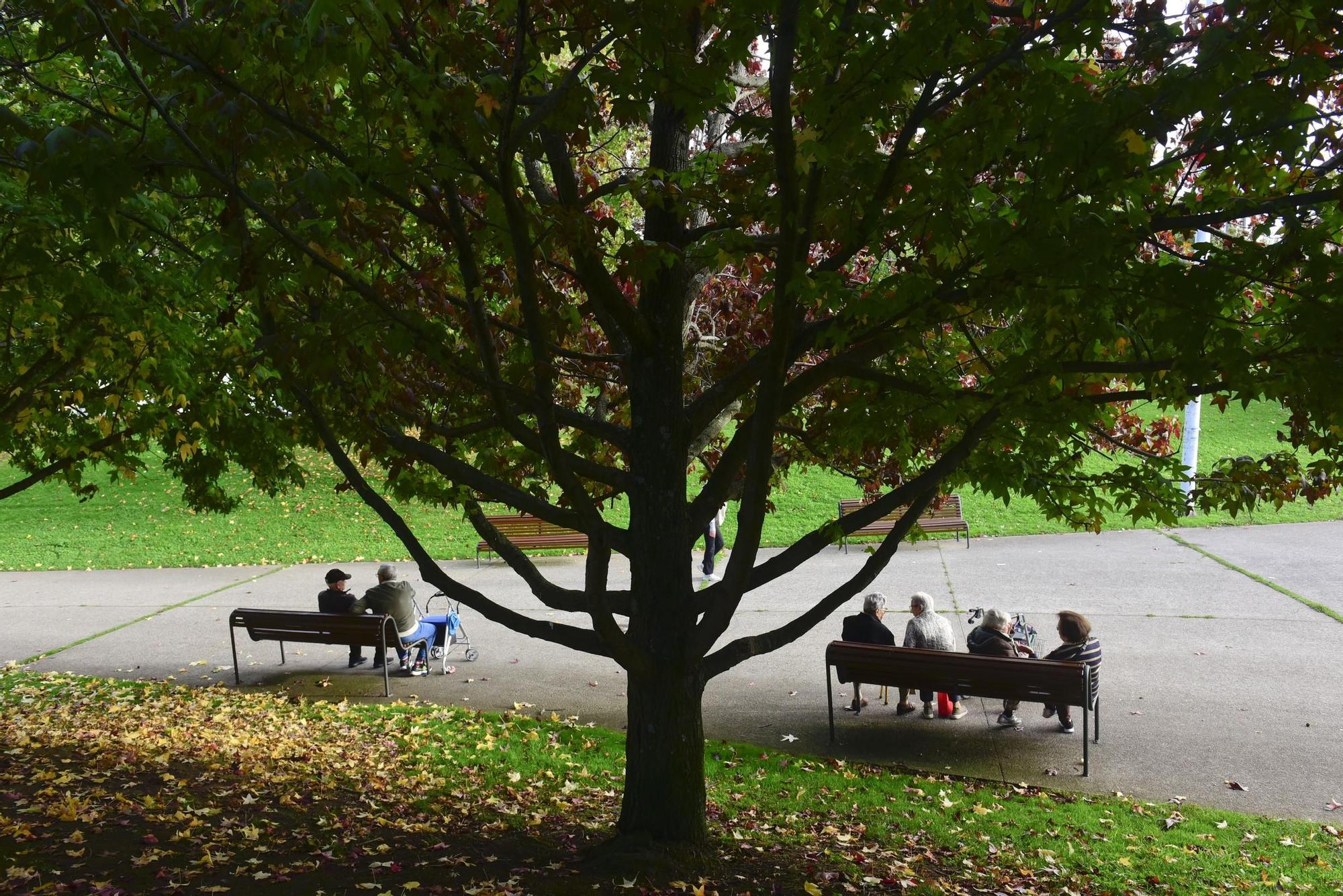 El parque de Vioño: la estampa perfecta del otoño en A Coruña