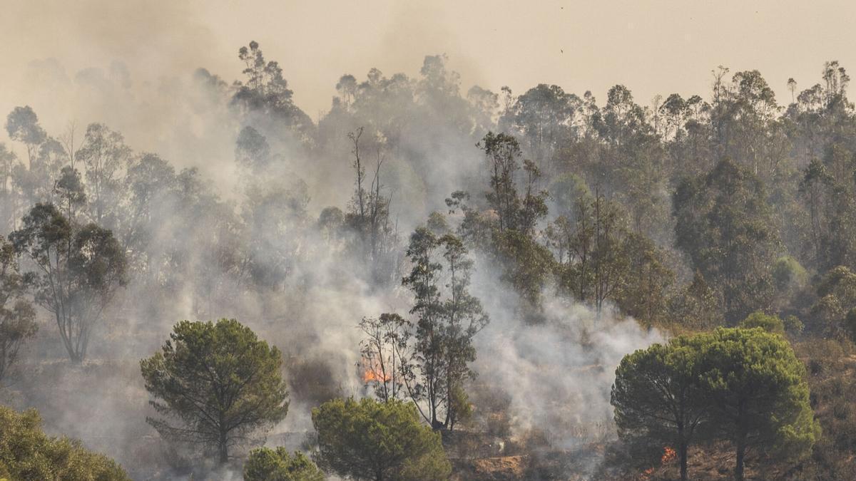 VÍDEOS | La UME realiza labores de extinción en el incendio forestal de La Niebla (Huelva)