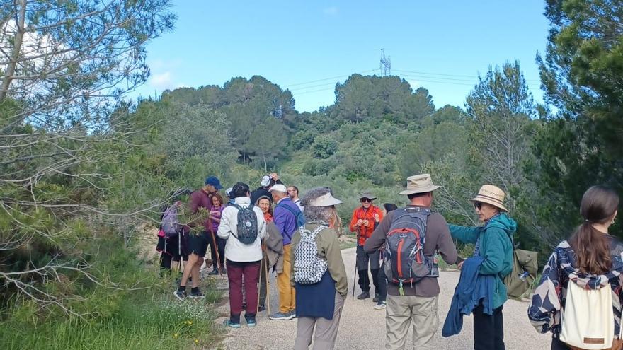 Acció Ecologista Agró se moviliza contra la macroplanta de Llanera con una marcha por los terrenos afectados