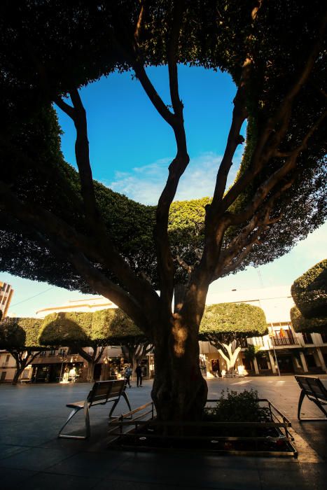 Plaza de la Constitución de Almoradí