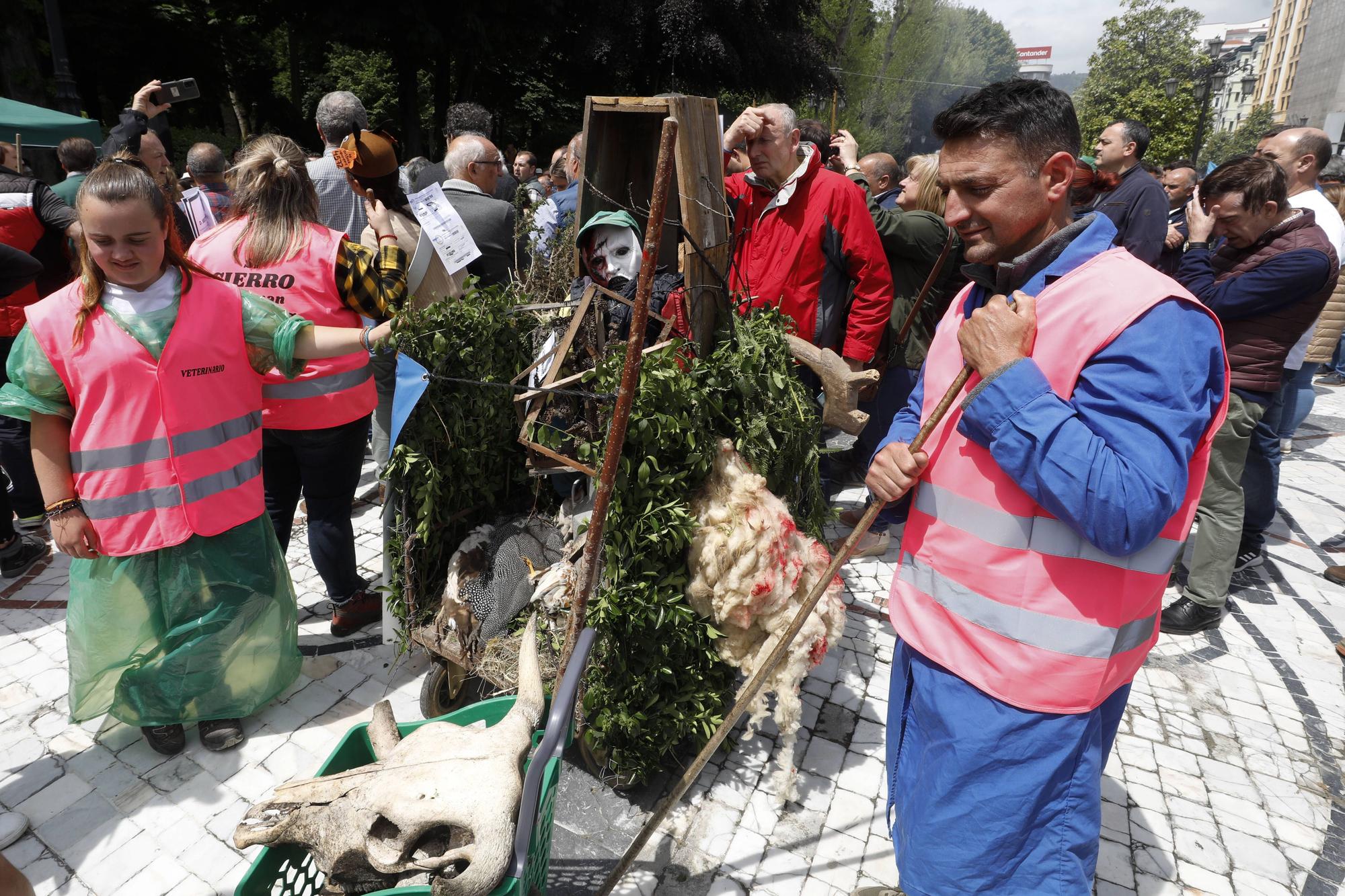 EN IMÁGENES: Así fue la tractorada de protesta del campo asturiano en Oviedo