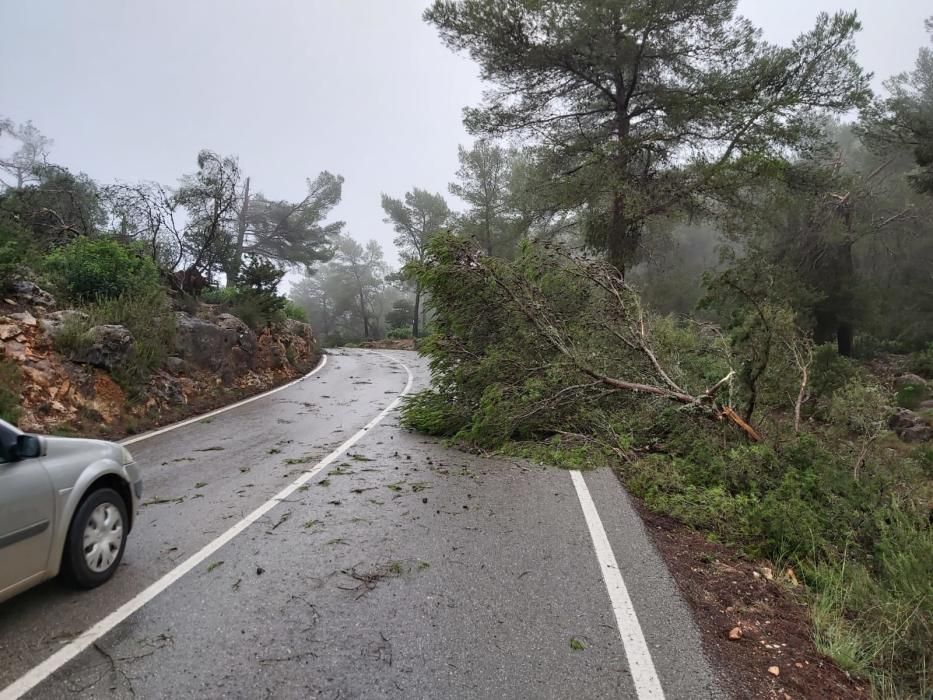 El temporal descarga sobre Ibiza y Formentera