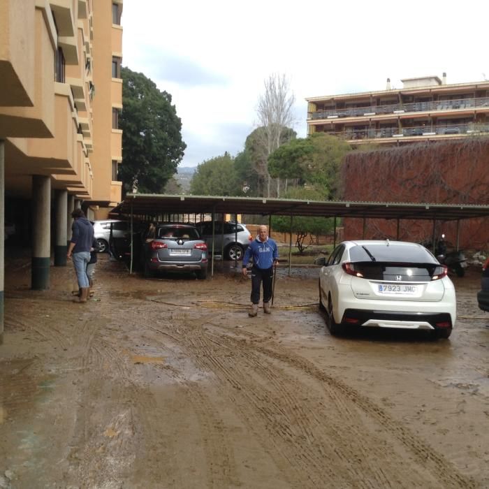 La tormenta provoca más de 200 incidentes