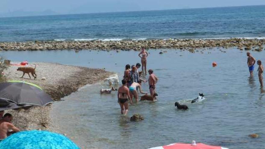 Bañistas con perros en la zona central de la cala, con las boyas para el área de canes al fondo.