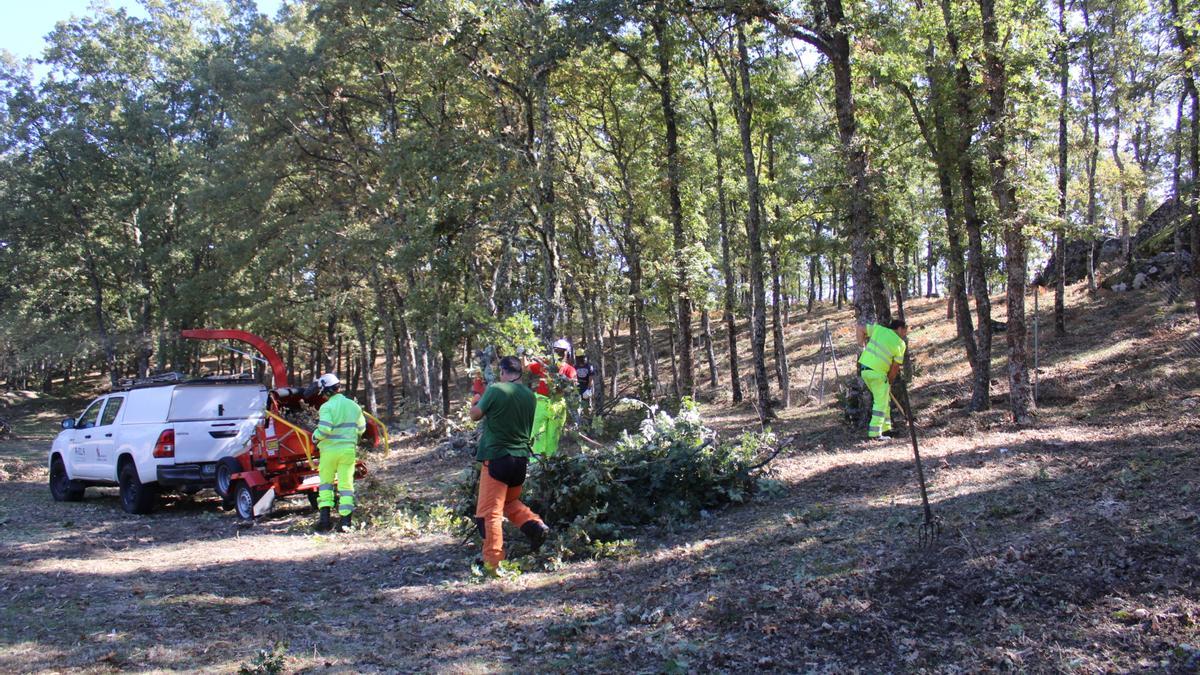 Tareas de limpieza realizadas en octubre de 2023 en cámpin Peña Gullón