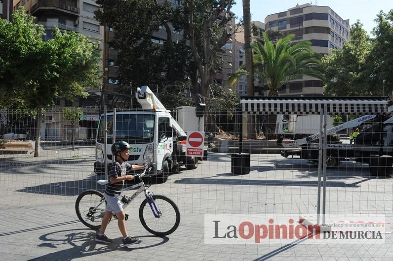 El día después de la caída de la rama del ficus de