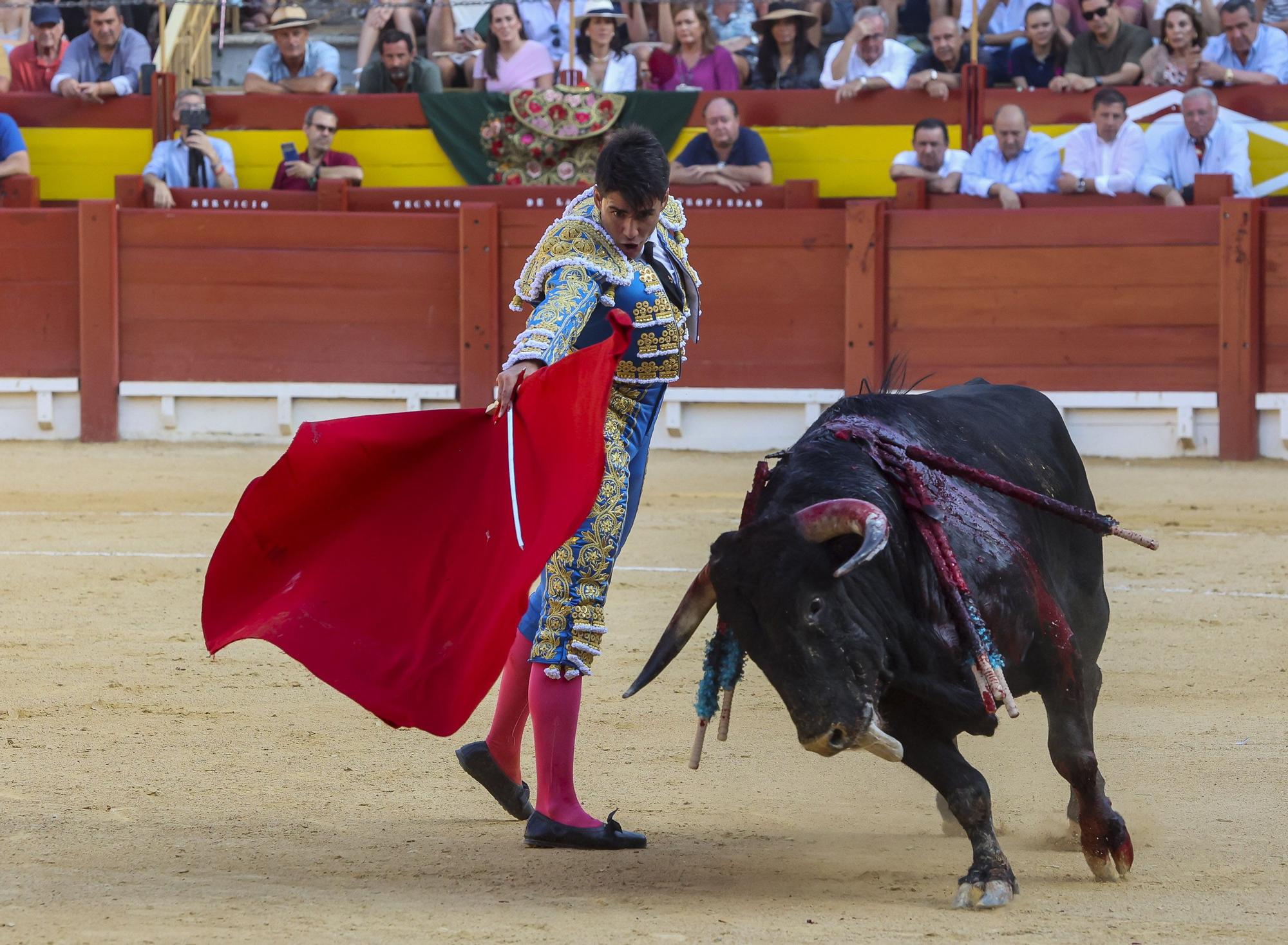 Novillada de Zacarías Moreno para cerrar la Feria de Hogueras