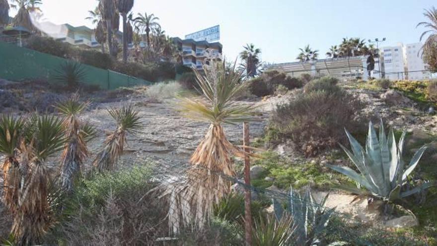 El que fuera uno de los jardines más envidibles frente al mar se está secando por la falta de mantenimiento en un complejo hotelero que el jueves cumplirá cuatro años cerrado.