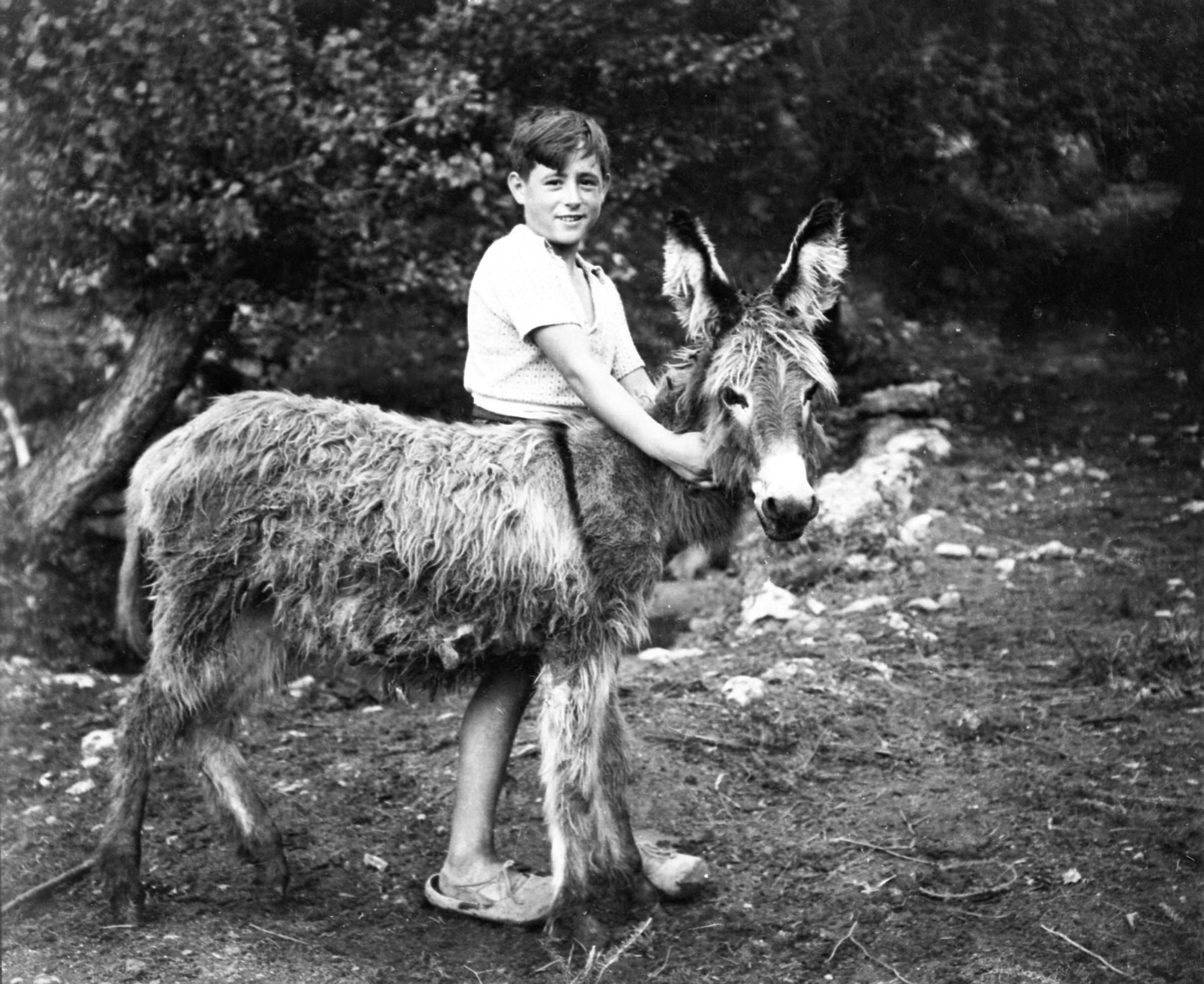 Niño y asno. h. 1945. Col. Muséu del Pueblu d’Asturies