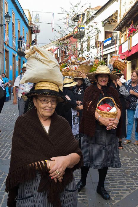 Carretas y grupos en la romería del Pino