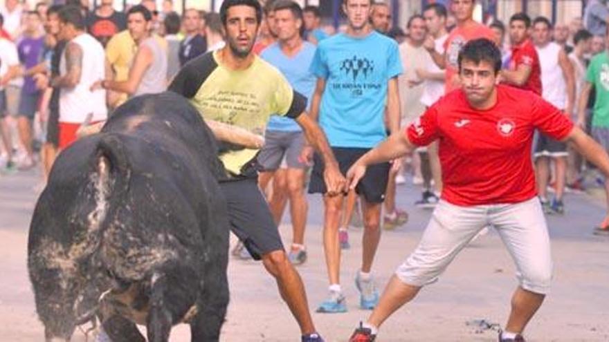 Festejo taurino de &quot;bous al carrer&quot; en la Comunitat Valencia. Foto: Levante-EMV.