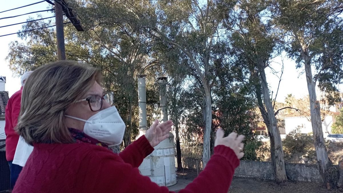 Olga Manjarín, en la casa de una vecina junto a los eucaliptos de la parcela de Fomento.