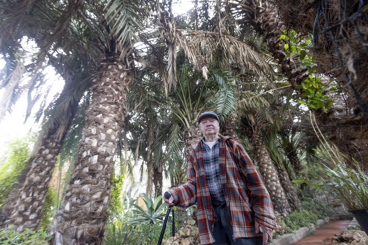 Pascual García Maciá junto a algunas de las palmeras que plantó en el Huerto de Amor