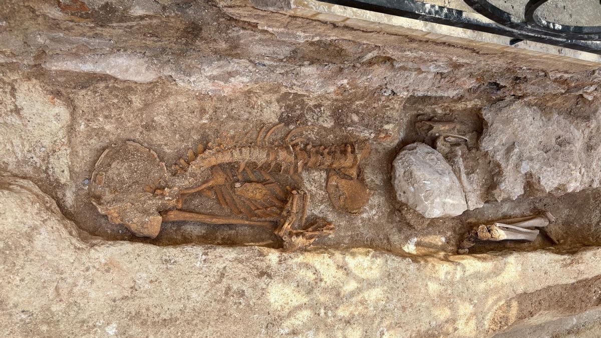 El enterramiento descubierto en la calle La Bassa de Gata de Gorgos