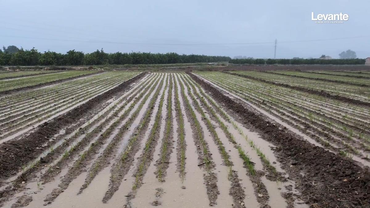 La dana Alice se deja notar en la Vall d'Albaida y la Costera: lluvias persistentes