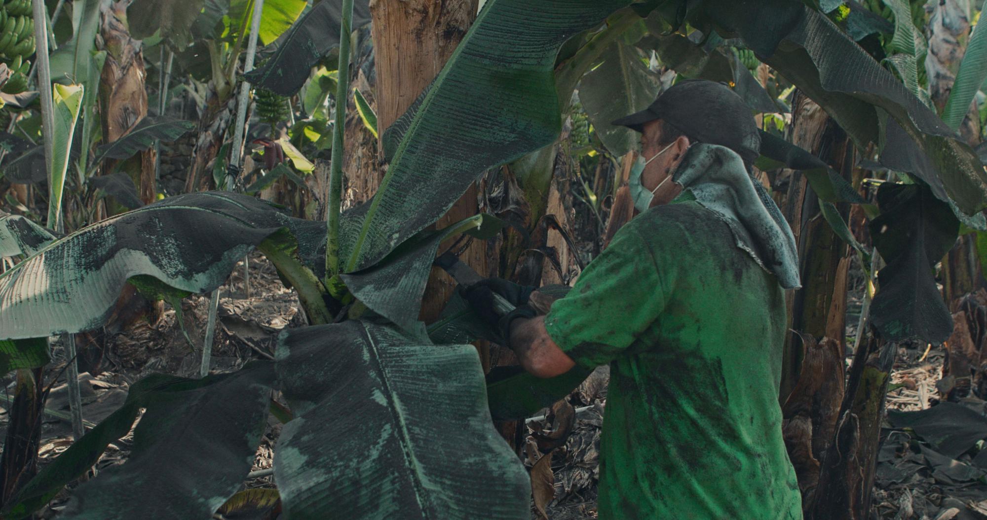 En imágenes: Grabación del documental sobre el volcán de La Palma