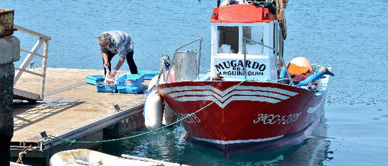 Las cofradías grancanarias cargan contra la federación regional de pesca