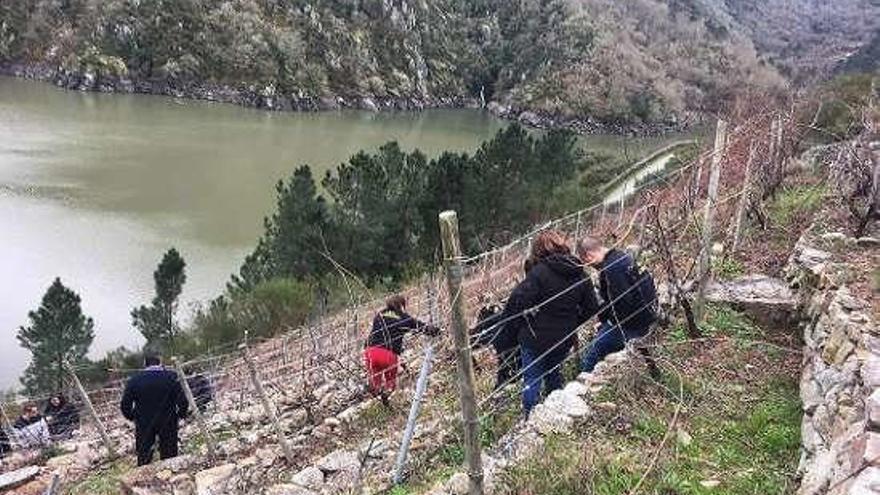 Alumnos aprendiendo nuevos tipos de poda en Os Chancís // FdV