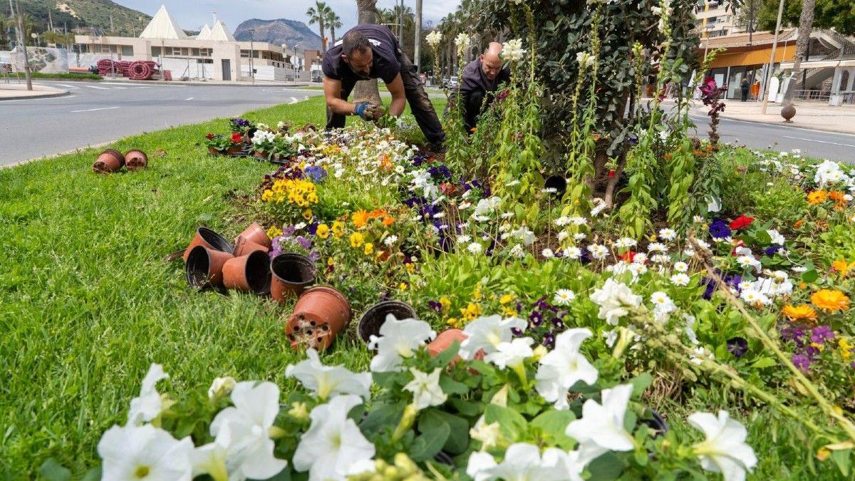 Jardineros en Cartagena