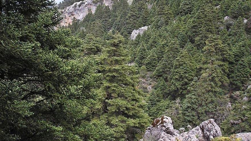 Sierra de las Nieves. | L.O.