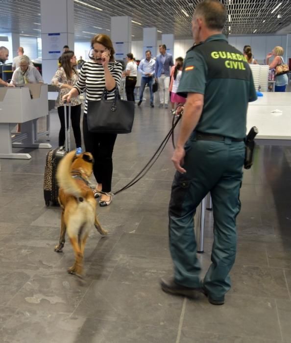 REPORTAJE UNIDAD CANINA AEROPUETO DE GRAN CANARIA