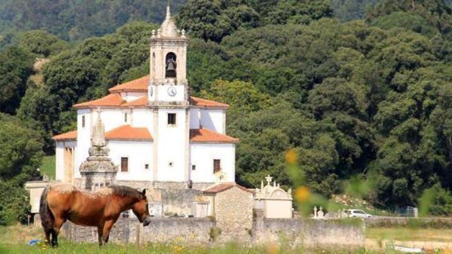 &quot;Toto&quot;, con la iglesia de Barru al fondo.