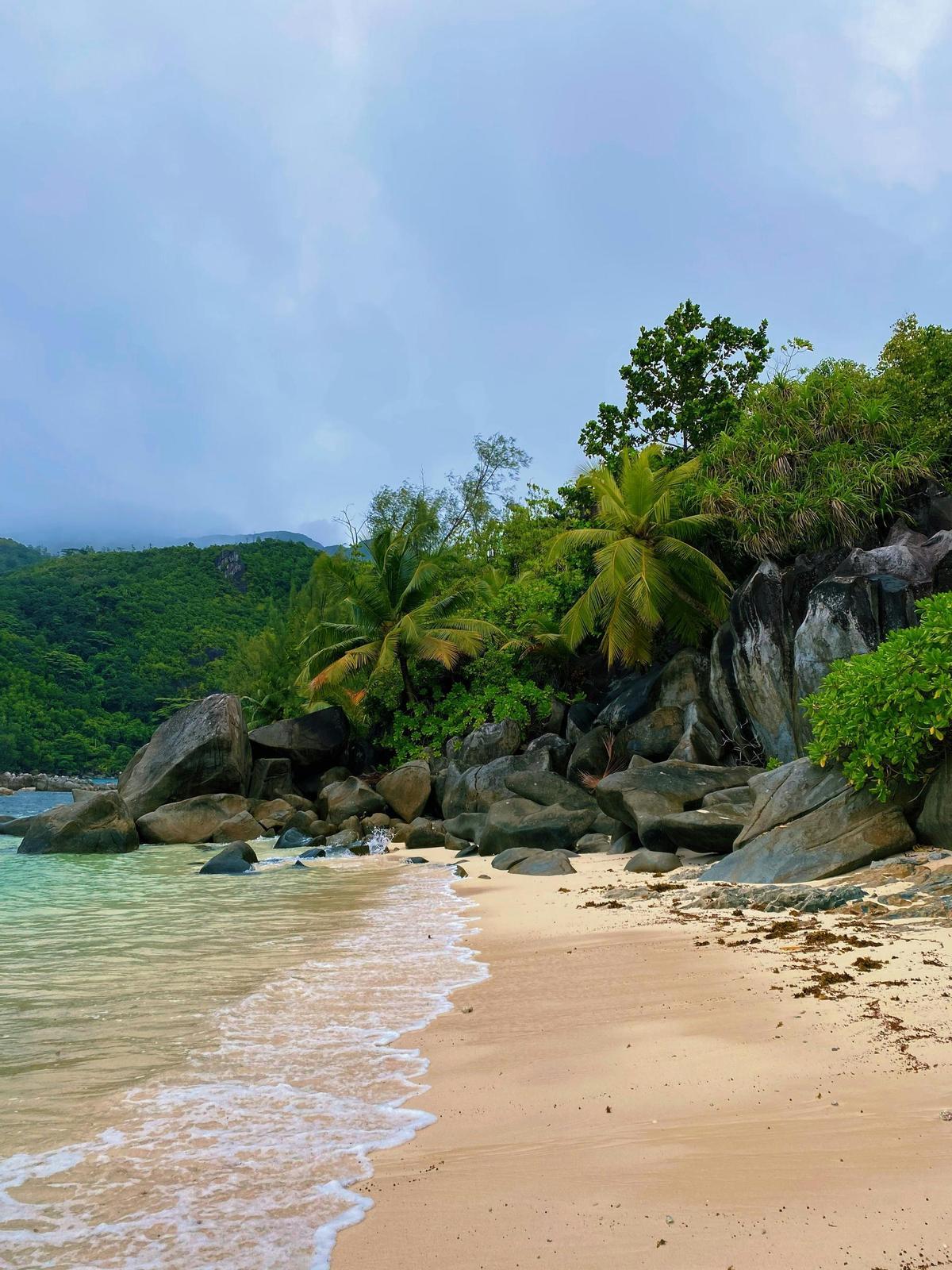 El plan en Desroches es disfrutar de los tesoros naturales de la isla