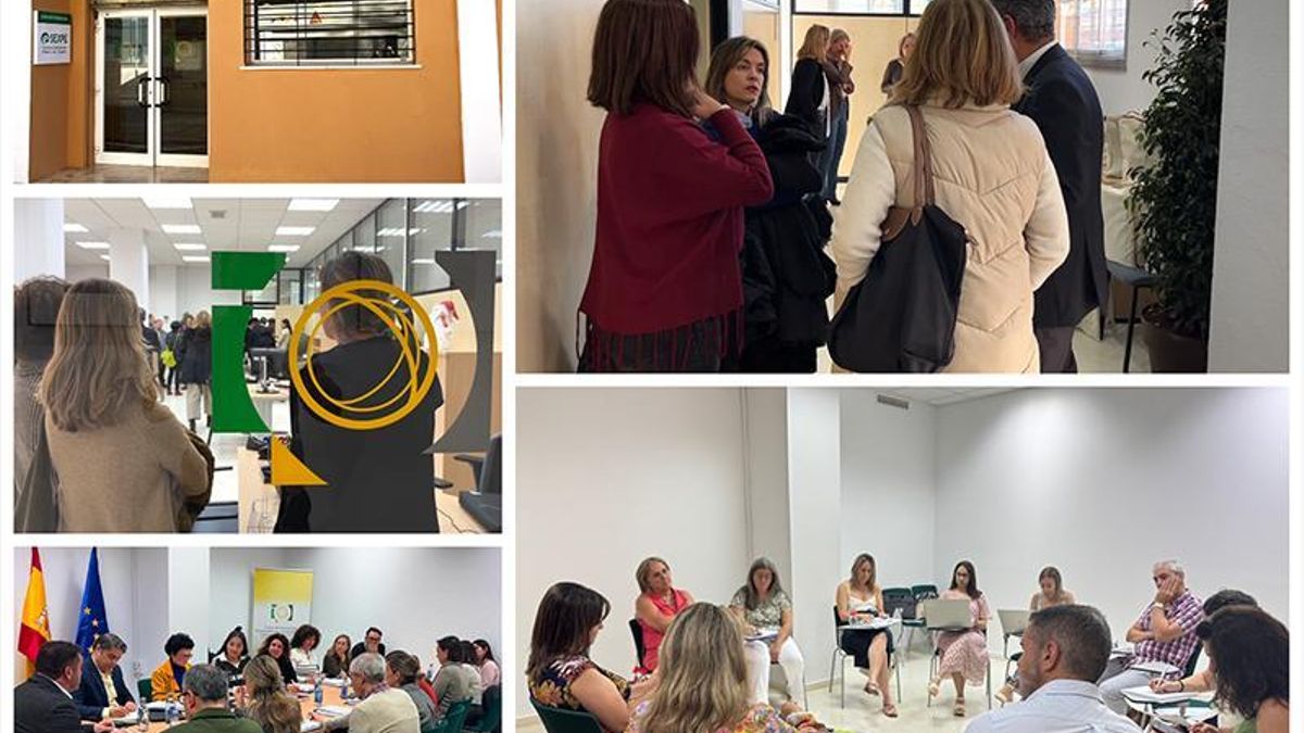 Collage de diferentes sesiones de formación y trabajo del COE.