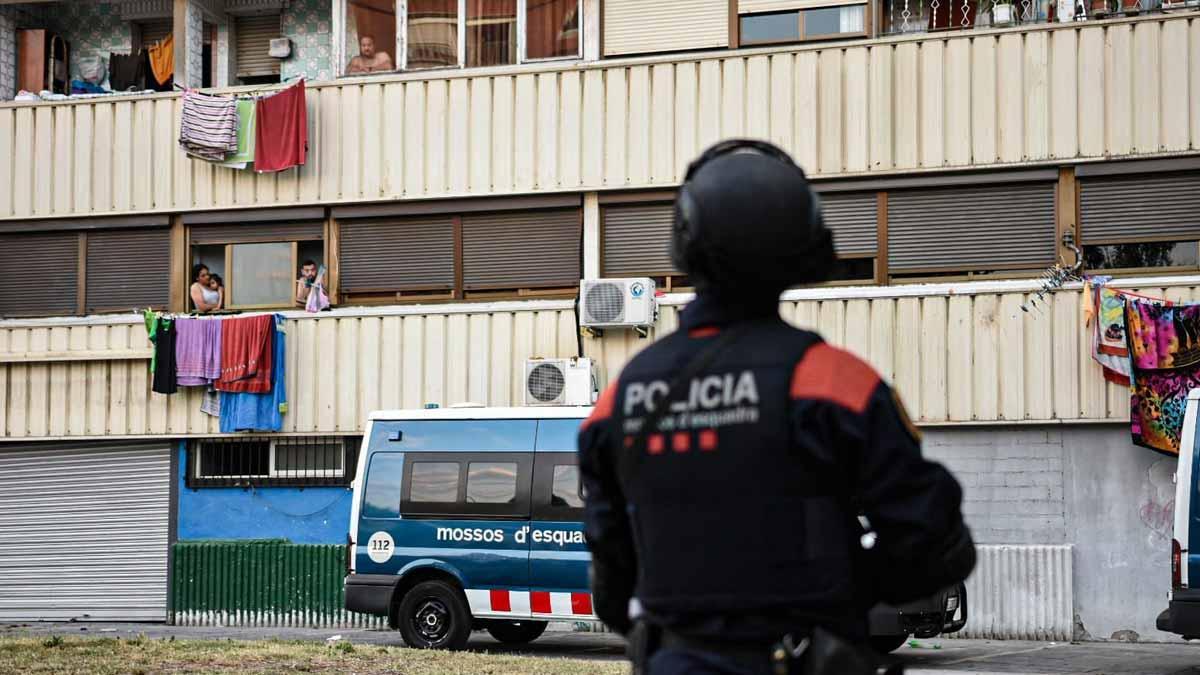 Macrooperación en La Mina contra una banda dedicada a los robos