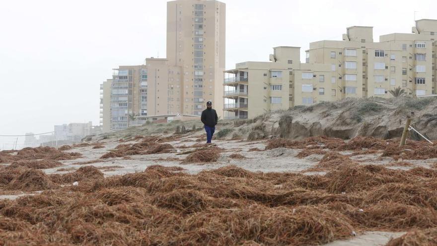 &quot;La gestión de las costas ha estado abandonada durante décadas&quot;