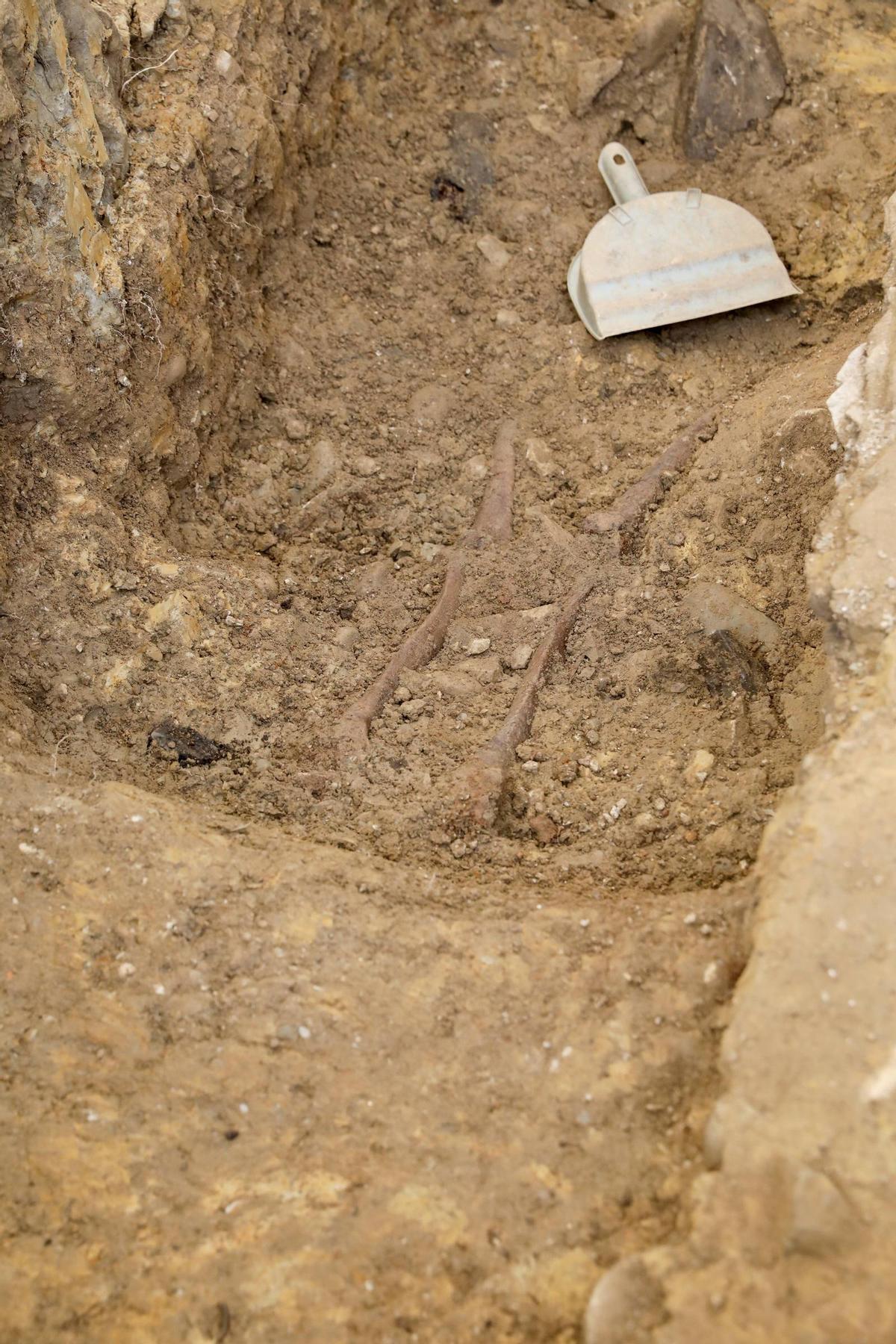 EN IMÁGENES: Hallan los restos de al menos seis víctimas en la fosa común de La Lloba