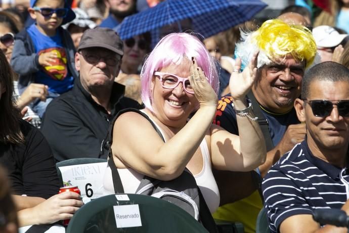 24.02.19. Las Palmas de Gran Canaria. Carnaval 2019. Concurso Carnaval Canino.  Público. Parque de Santa Catalina. Foto Quique Curbelo