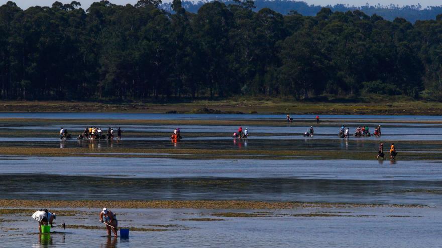 Inspección de Trabajo acude al punto de control y a la Cofradía de Cambados