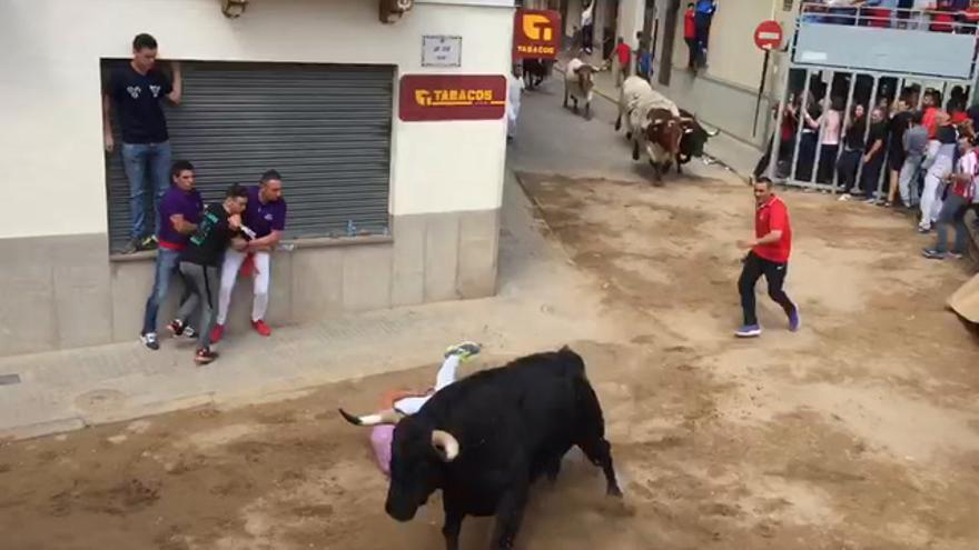 Cogida en el encierro de cerriles de Almassora