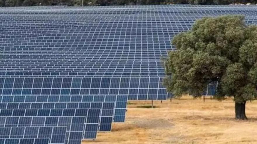 Más de 60 millones de euros para que cinco plantas solares de Extremadura puedan guardar energía en baterías