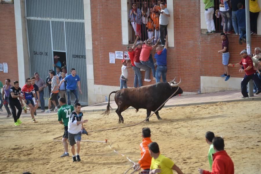 Carrera del Enmaromado 2016