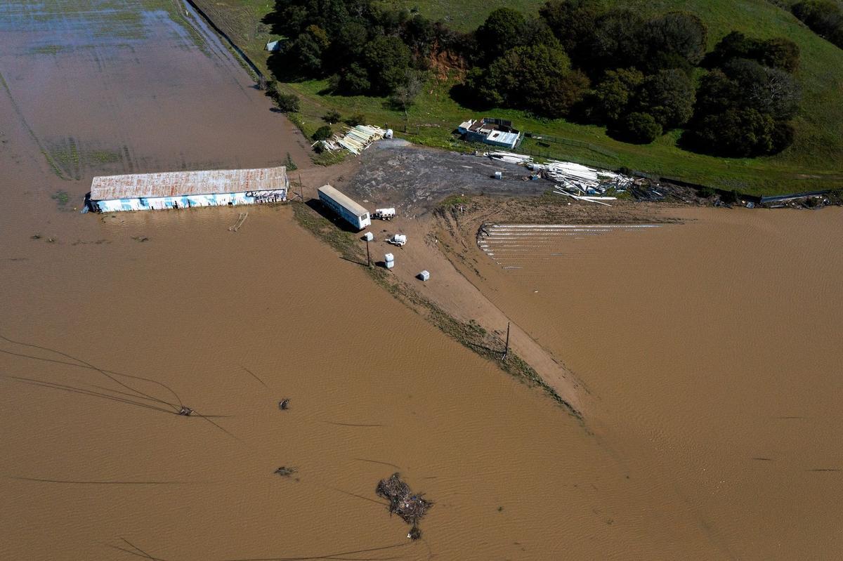 Campos inundados en Pájaro (California) debido al paso de un río atmosférico