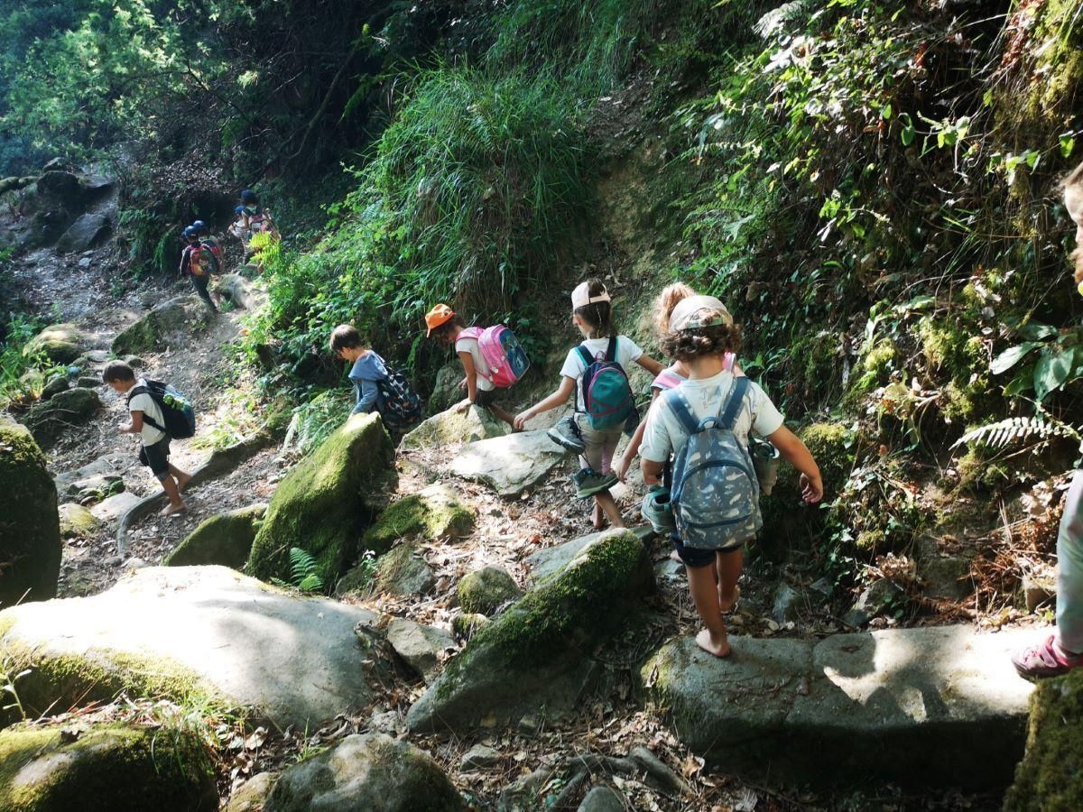 Niños y niñas en el bosque.