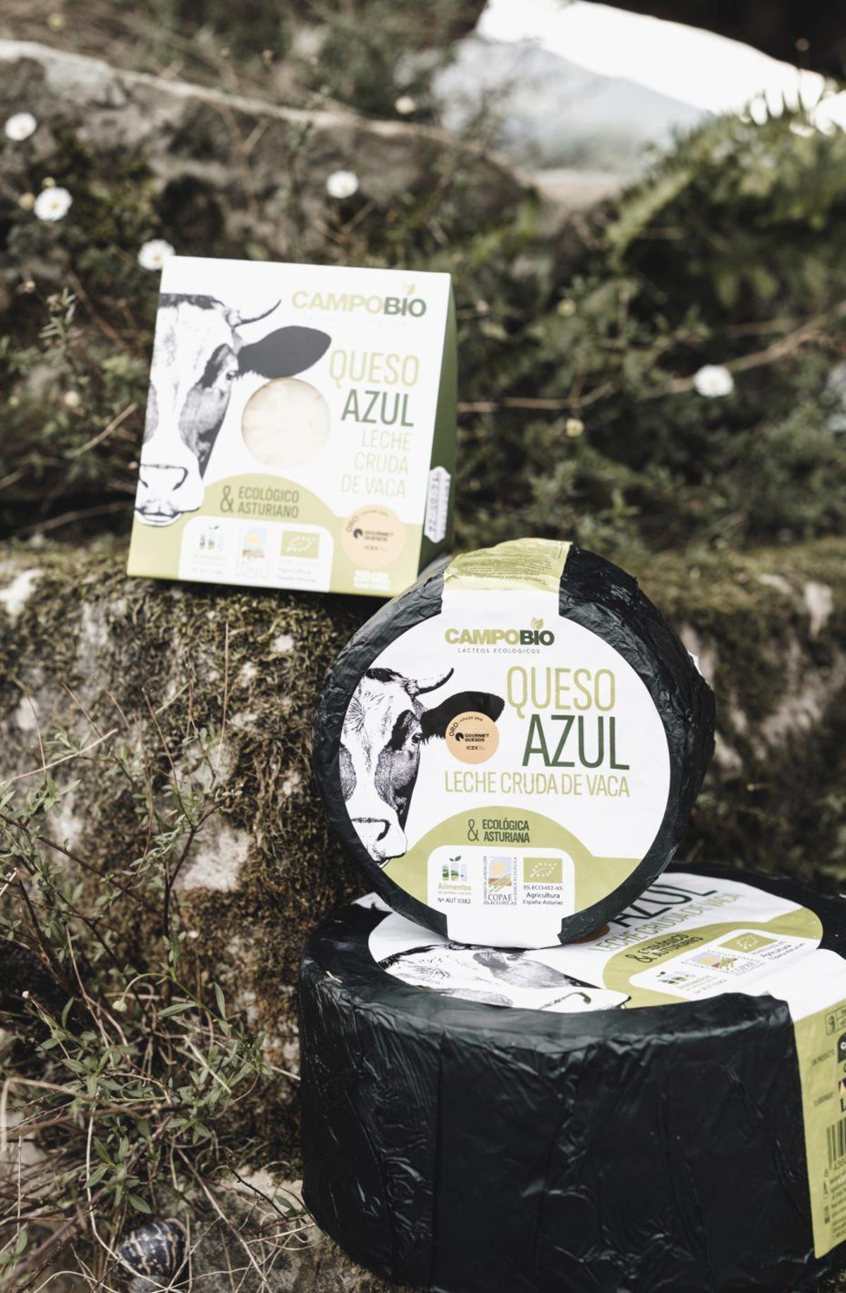 Queso azul ecológico Campobio, de Campoastur. | Cedidas a LNE