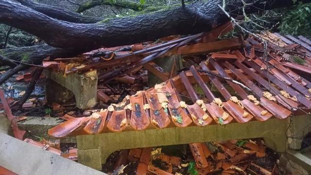 Vista del lavadero de la Aldea Labrega tras la caída del árbol. | FDV