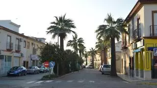 Piden 8 años de cárcel para el acusado de apuñalar a su exnovia embarazada en Fuente Palmera