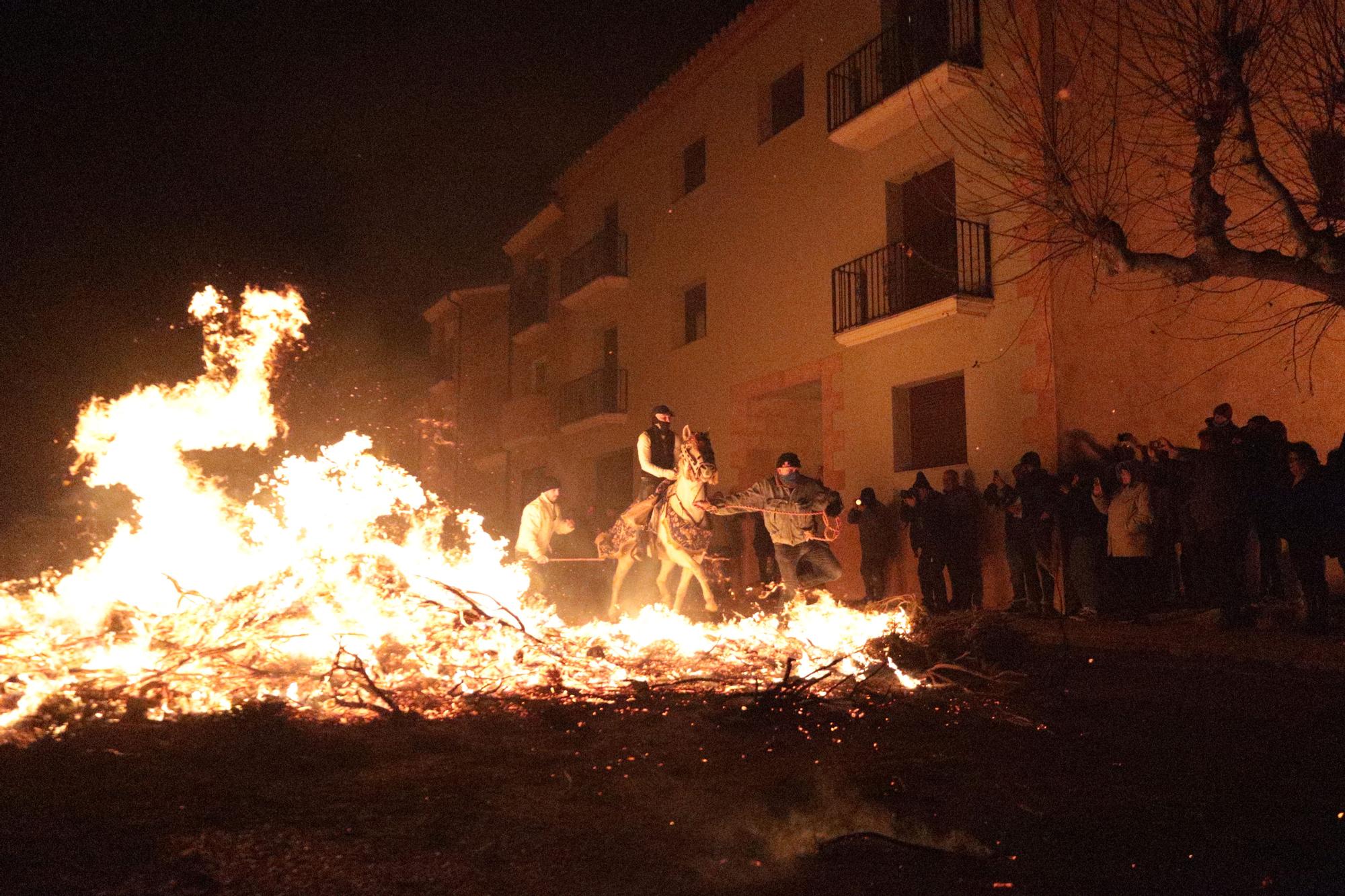 Las mejores fotos de la espectacular Matxà de Sant Antoni en Vilanova d'Alcolea