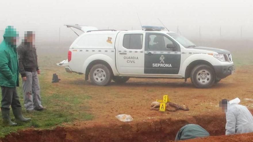 Lugar donde se encontraros los cadáveres animales.