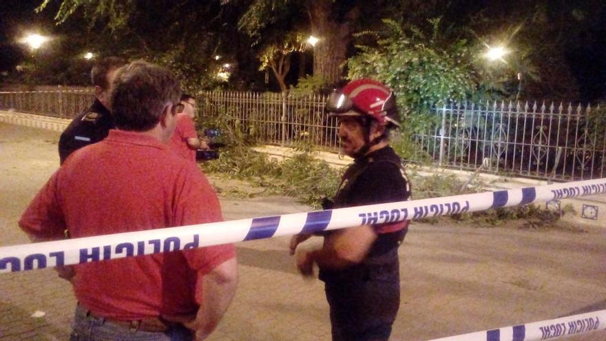 Los bomberos y el concejal de Jardines de Jumilla.