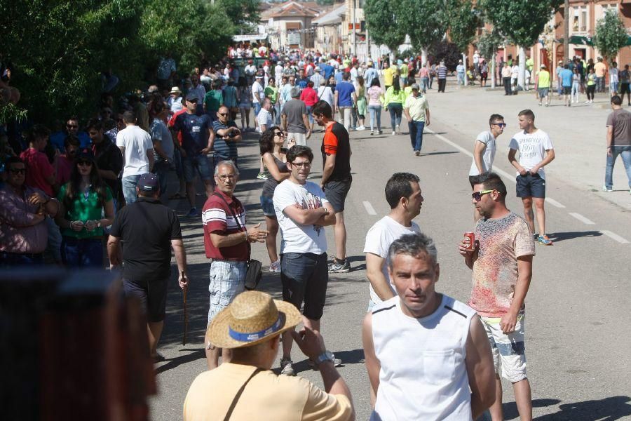 Fiestas en Zamora: Segudos espantes de Fuentesaúco