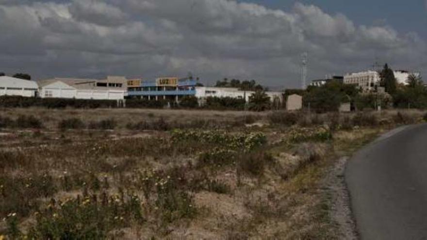 Terrenos de la partida Fabraquer sur con los que cuenta Sant Joan para el nuevo campus.