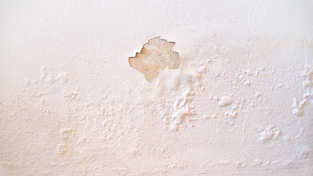 Adiós a la humedad de la pared sin pintar: las 20 gotas que la dejan como nueva.